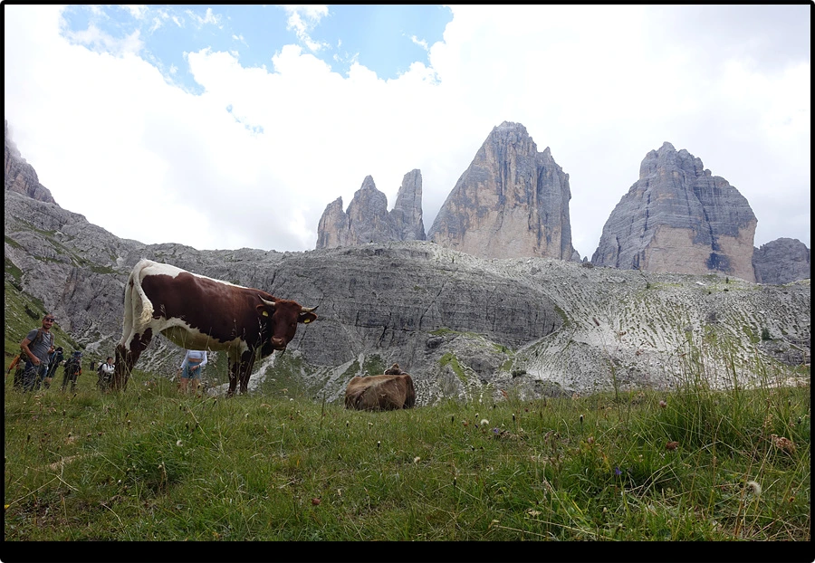 DSC00312.jpg?type=w966&jopt=2