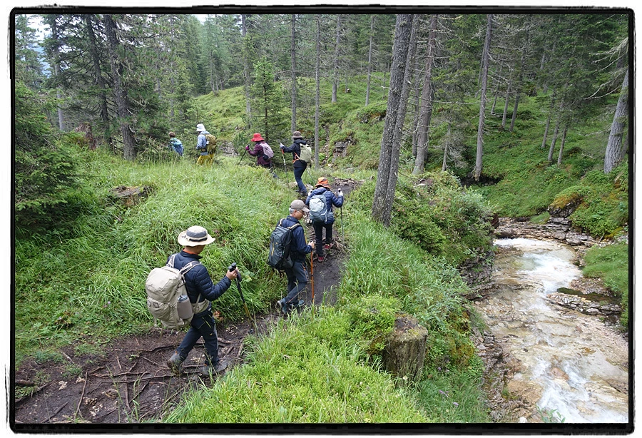 DSC00151.jpg?type=w966&jopt=2