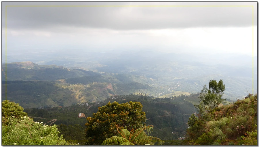 P1011592.jpg?type=w966