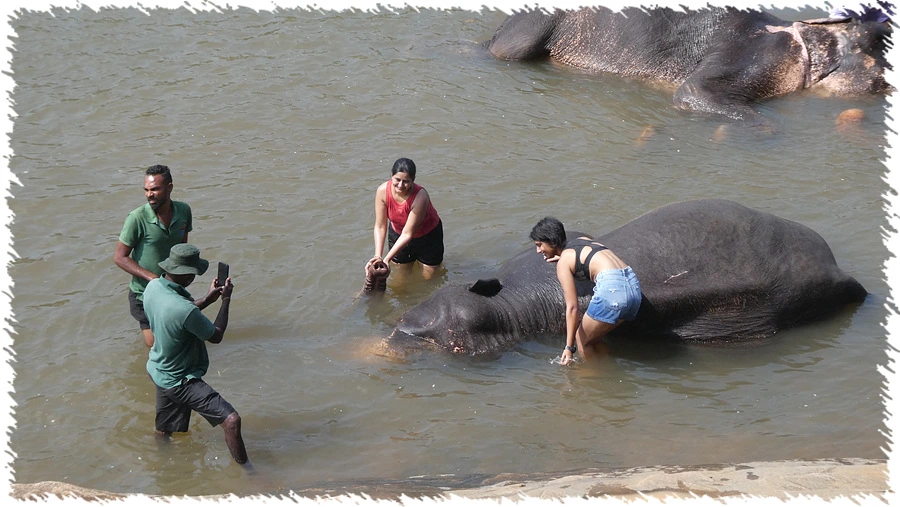 P1010846.jpg?type=w966