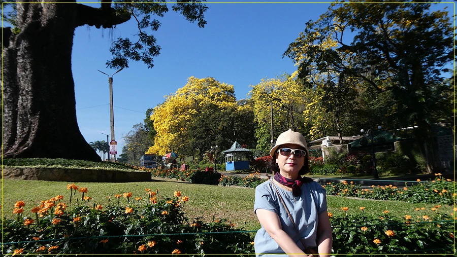 P1011237.jpg?type=w966