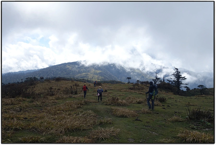 DSC01065.jpg?type=w966