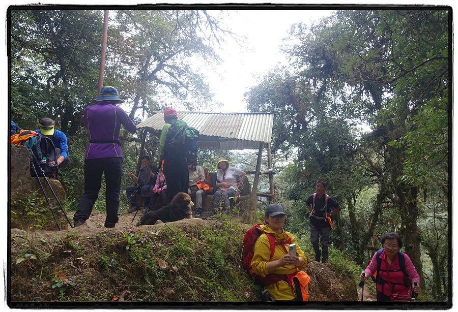 DSC00633.jpg?type=w966