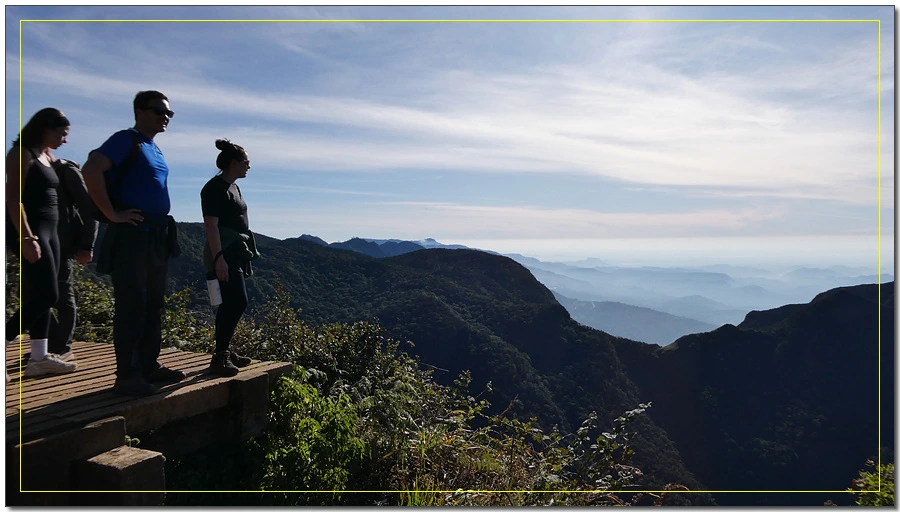 P1011528.jpg?type=w966