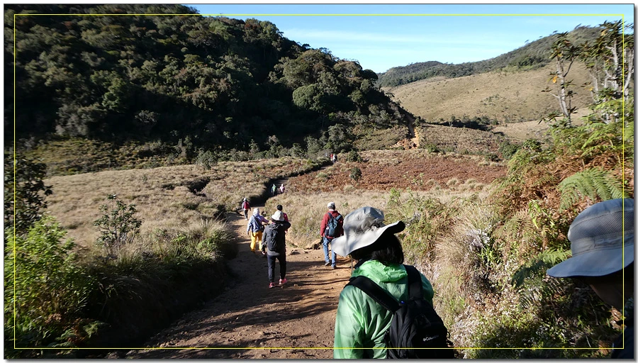 P1011501.jpg?type=w966