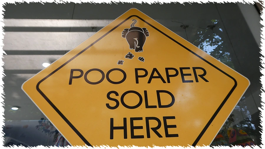 P1010849.jpg?type=w966