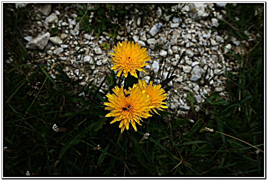 3.jpg?type=w966&jopt=2