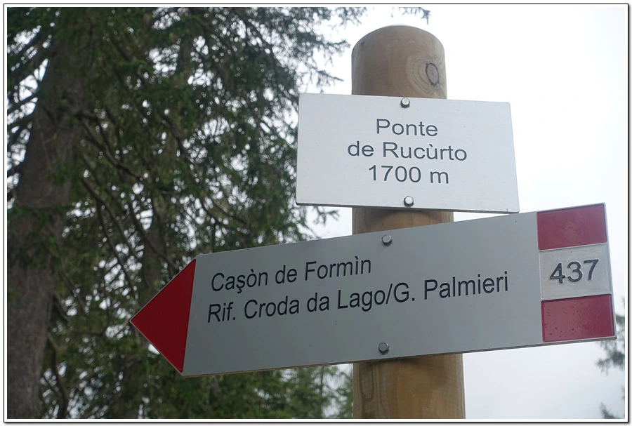 DSC00134.jpg?type=w966&jopt=2