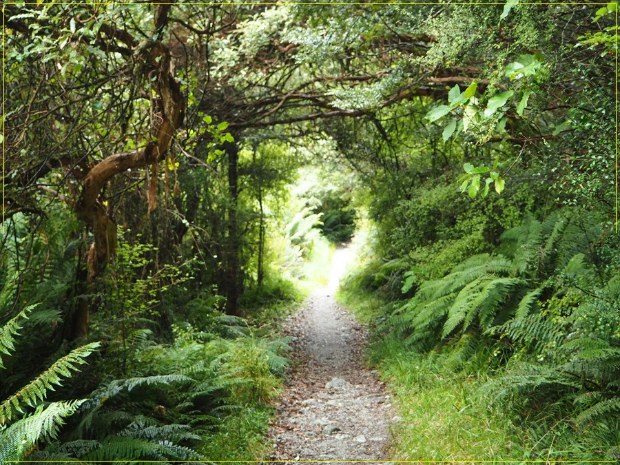 23.jpg?type=w966&jopt=2