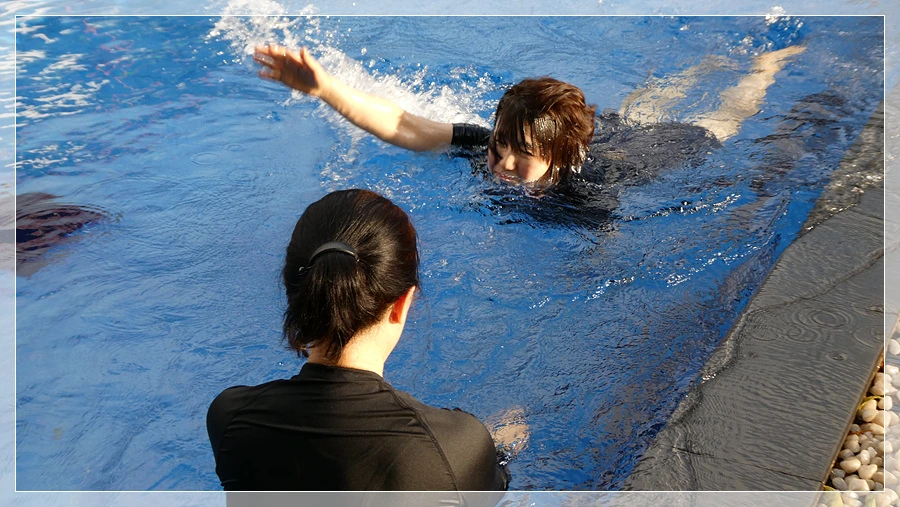 P1021882.jpg?type=w966