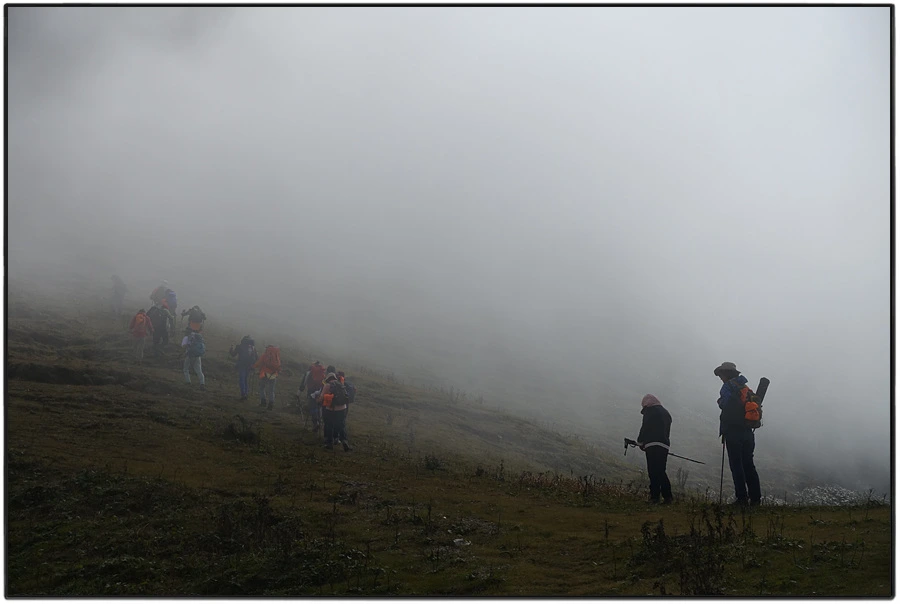 DSC01087.jpg?type=w966