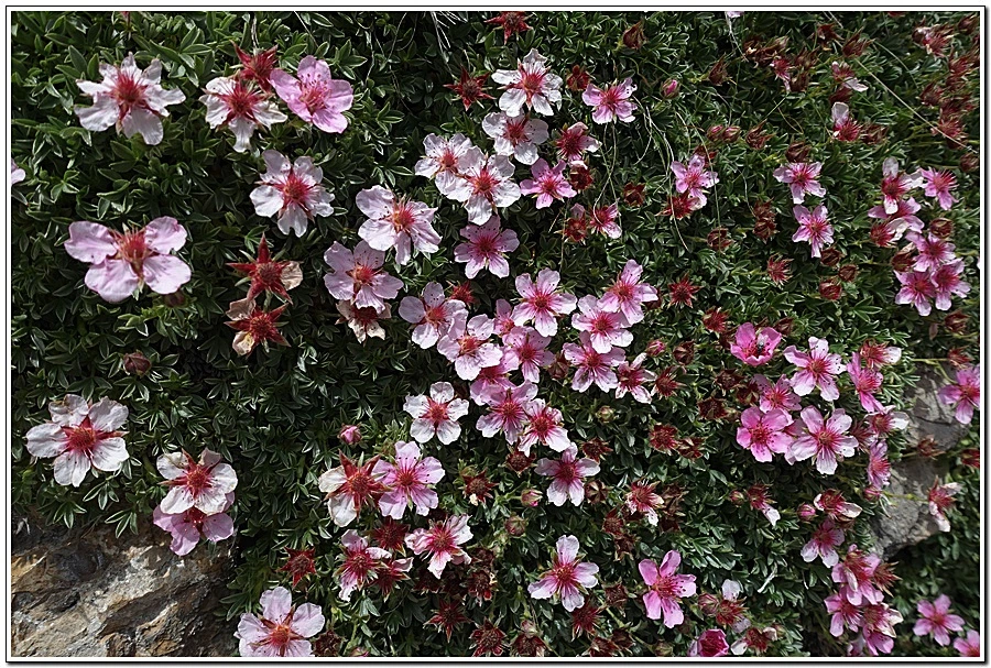 5.jpg?type=w966&jopt=2