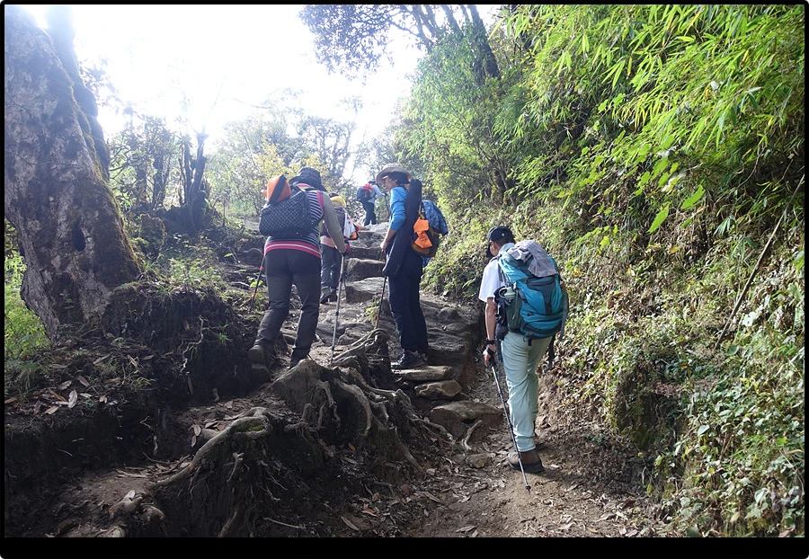 DSC00785.jpg?type=w966