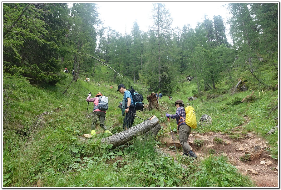 DSC00175.jpg?type=w966&jopt=2