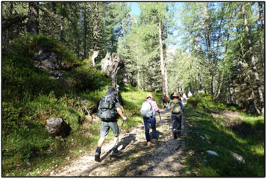 DSC00082.jpg?type=w966&jopt=2