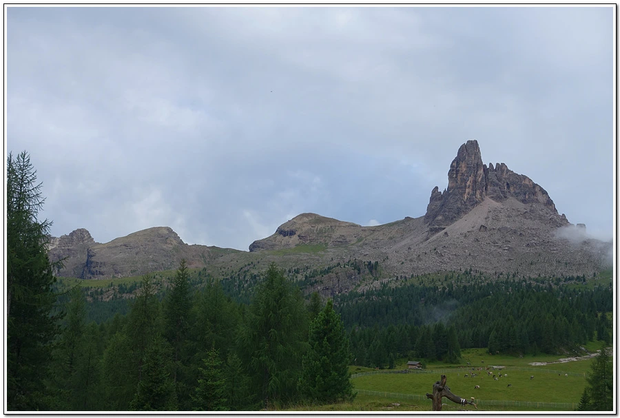 DSC00255.jpg?type=w966&jopt=2