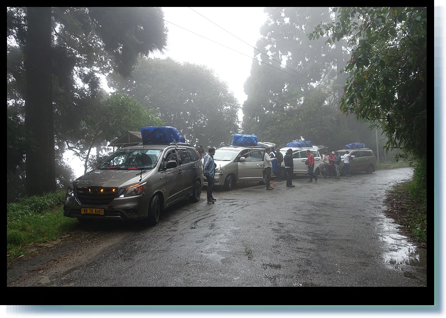 DSC00464.jpg?type=w966