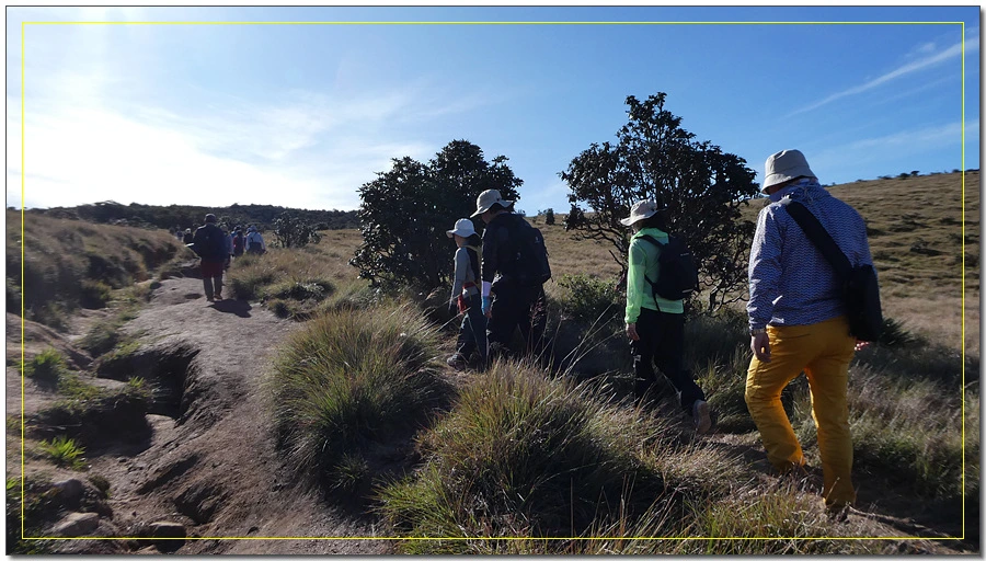 P1011503.jpg?type=w966