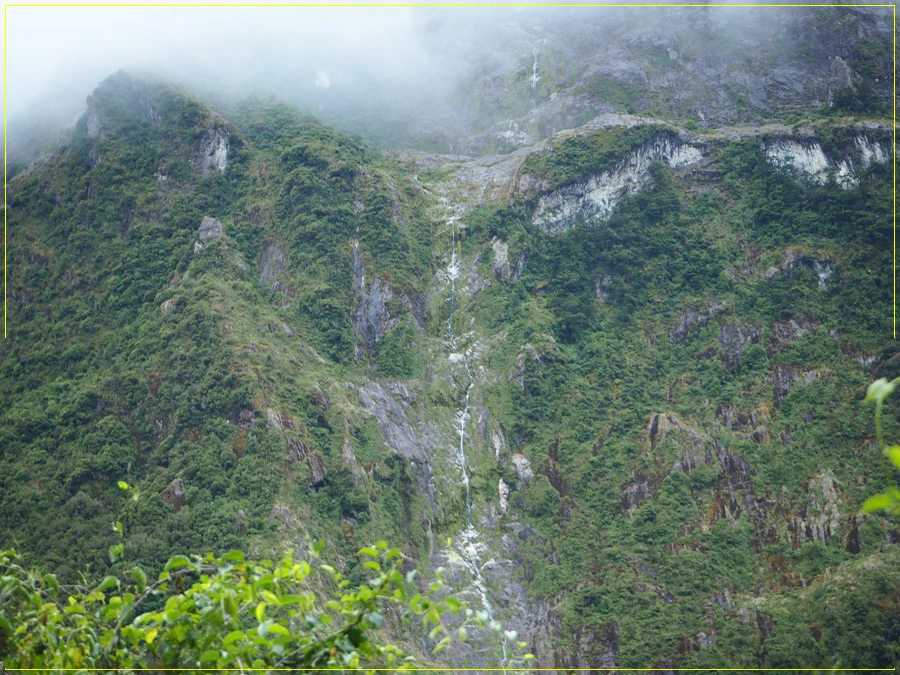 24.jpg?type=w966&jopt=2