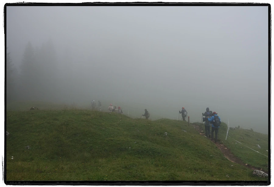 DSC00131.jpg?type=w966&jopt=2