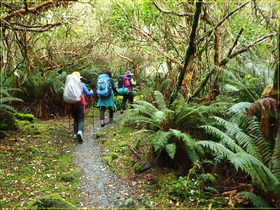 48.jpg?type=w966&jopt=2