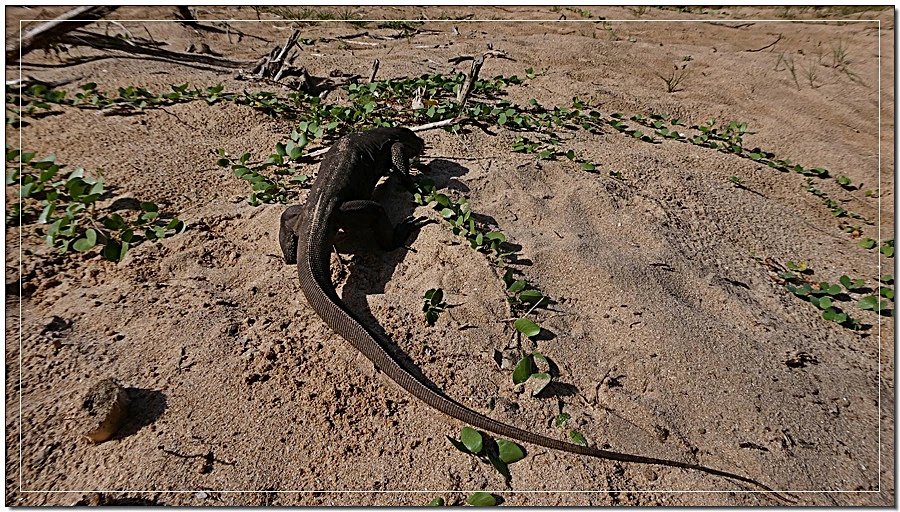 P1022139.jpg?type=w966