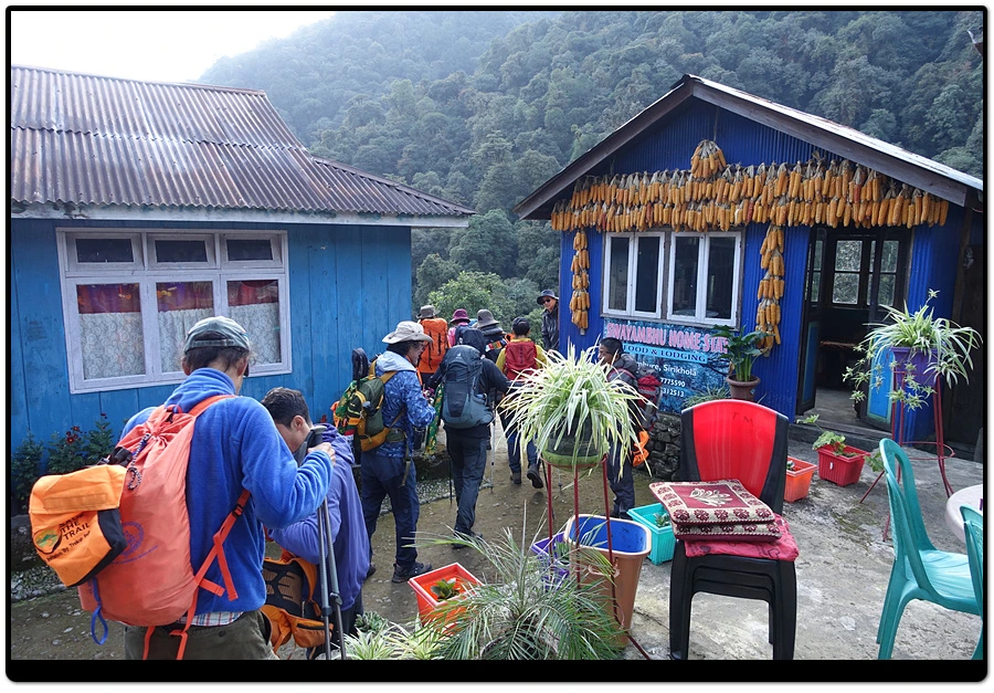 DSC01248.jpg?type=w966