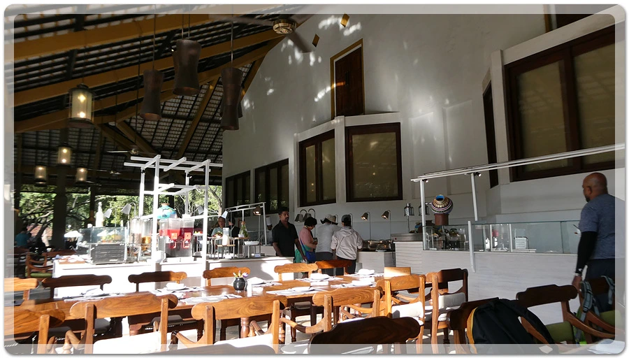 P1011130.jpg?type=w966