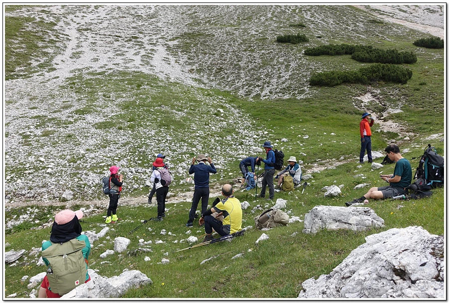 DSC00267.jpg?type=w966&jopt=2