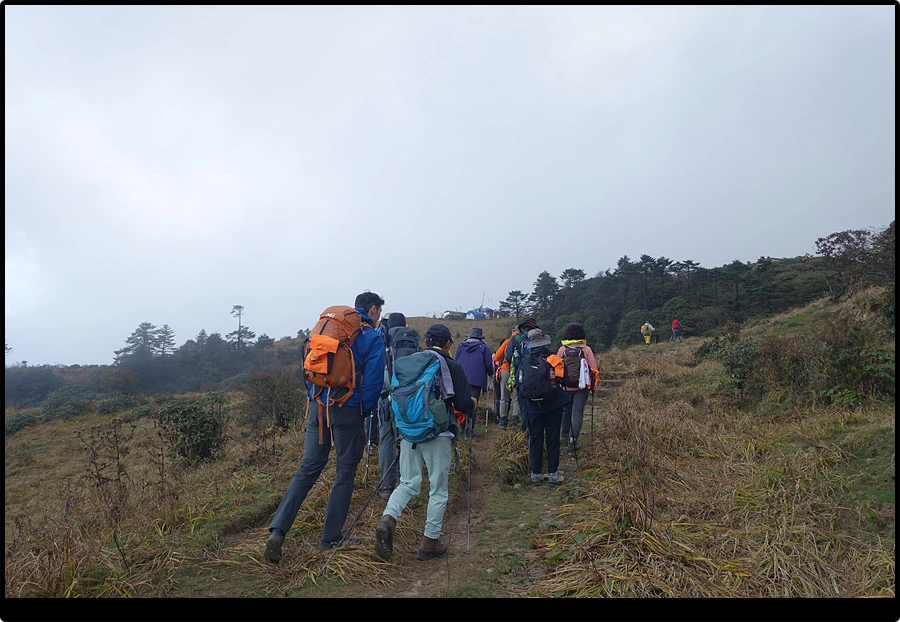 DSC00788.jpg?type=w966