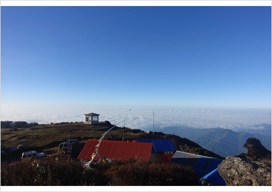 DSC01129.jpg?type=w966