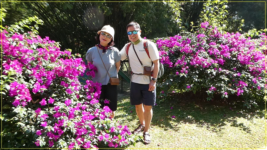 P1011279.jpg?type=w966