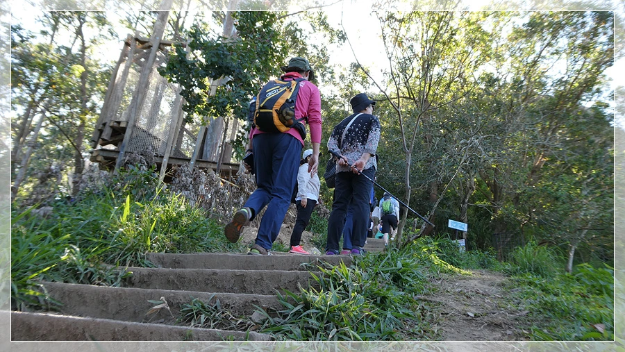 P1011709.jpg?type=w966