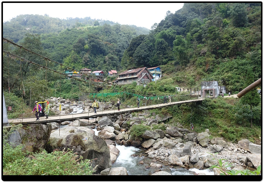 DSC01280.jpg?type=w966