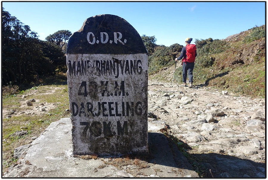 DSC00994.jpg?type=w966