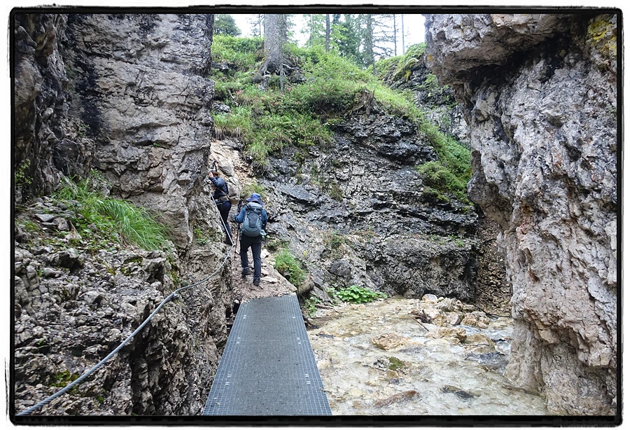 DSC00182.jpg?type=w966&jopt=2