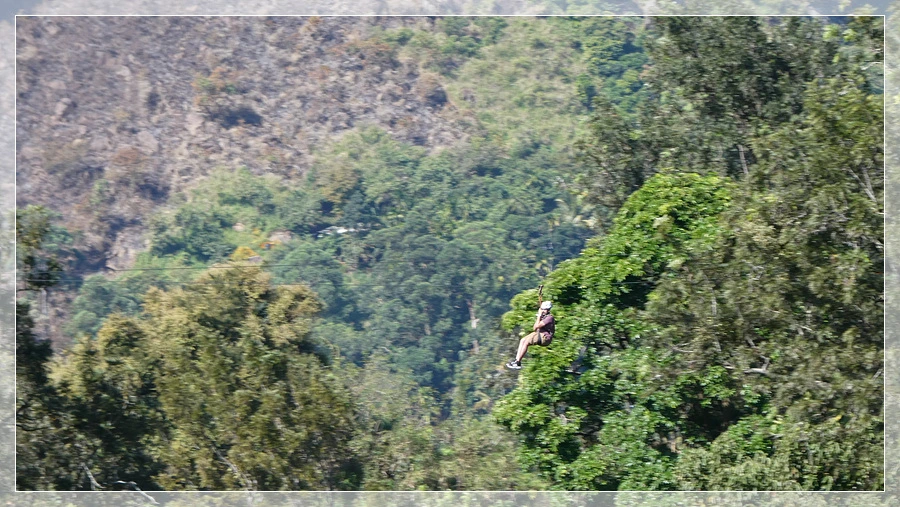 P1011782.jpg?type=w966