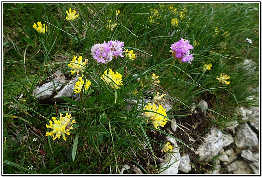 2.jpg?type=w966&jopt=2