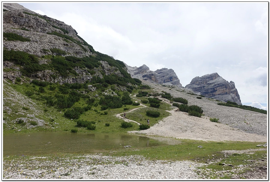 DSC00254.jpg?type=w966&jopt=2