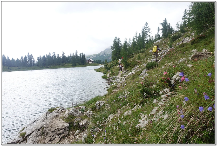 DSC00232.jpg?type=w966&jopt=2