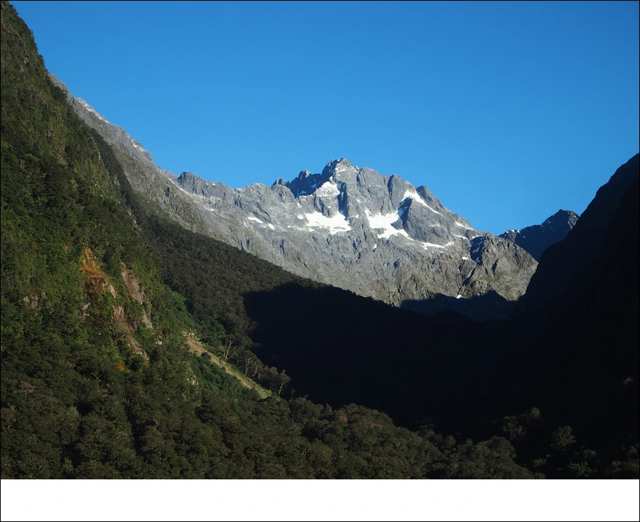 8.jpg?type=w966&jopt=2