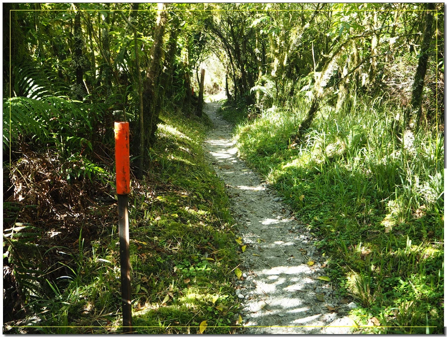 43.jpg?type=w966&jopt=2