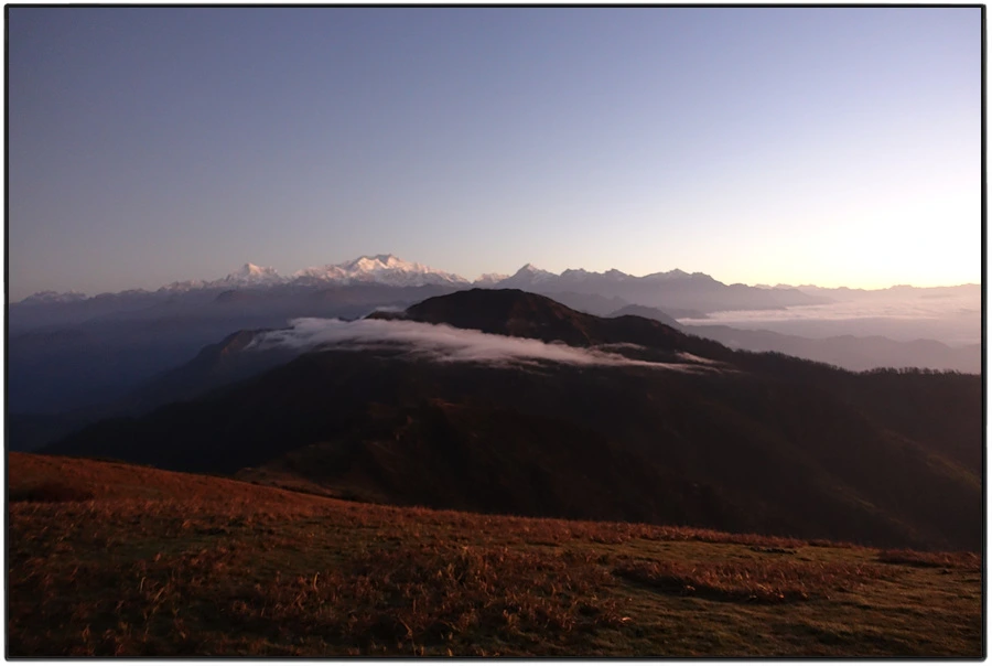 DSC00876.jpg?type=w966