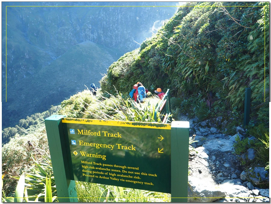 28.jpg?type=w966&jopt=2