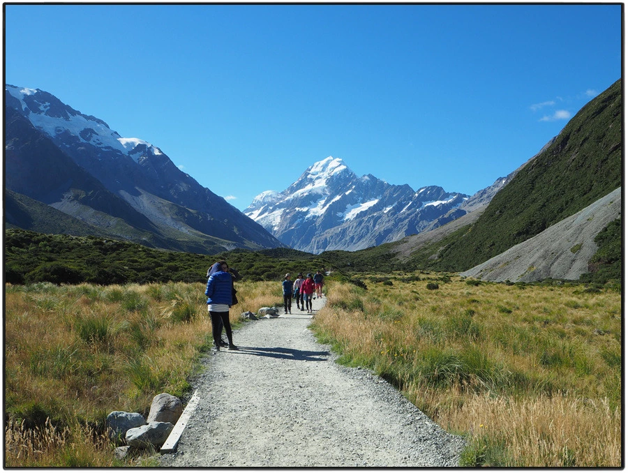 32.jpg?type=w966&jopt=2