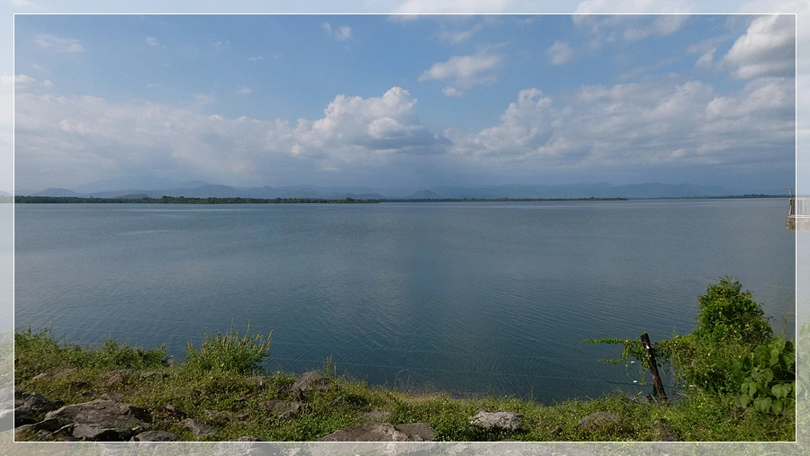 P1021863.jpg?type=w966