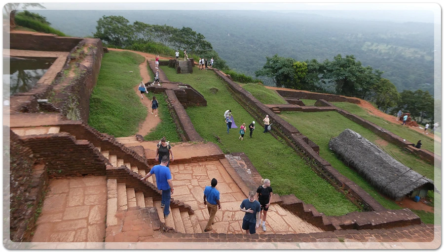 P1011057.jpg?type=w966