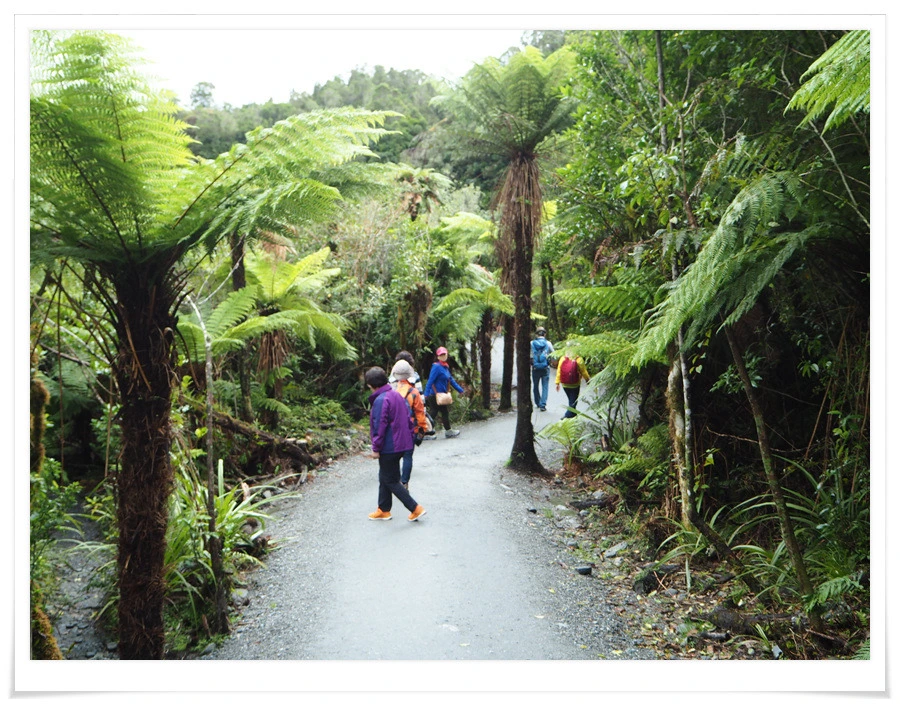 16.jpg?type=w966&jopt=2