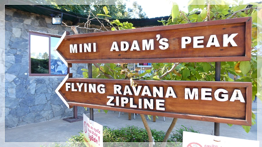 P1011680.jpg?type=w966