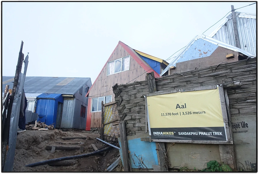 DSC01112.jpg?type=w966